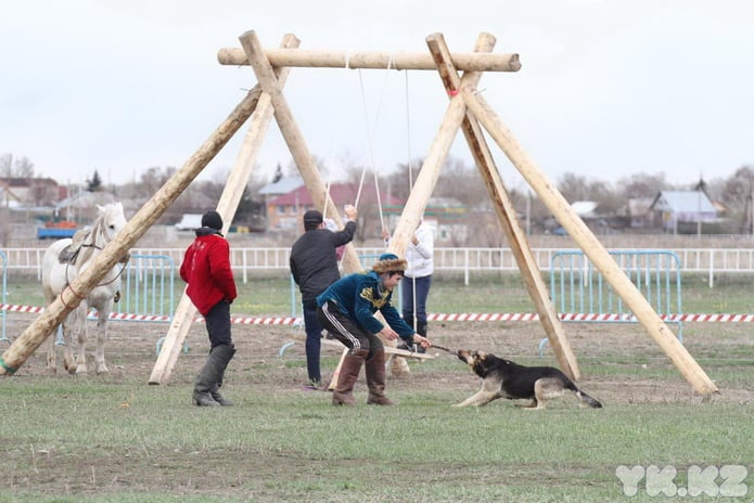 Апрельский Наурыз (+фото)